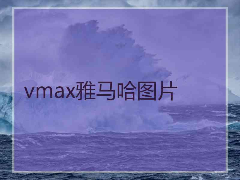 vmax雅马哈图片