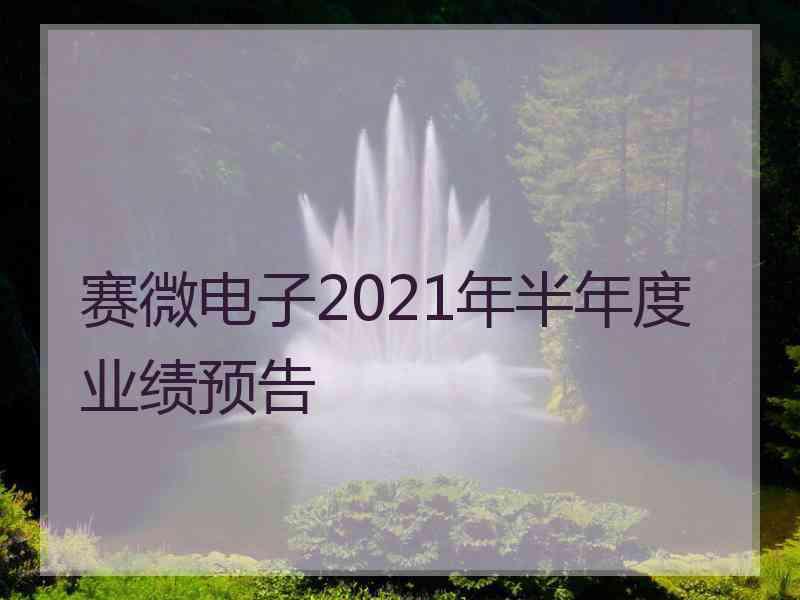 赛微电子2021年半年度业绩预告