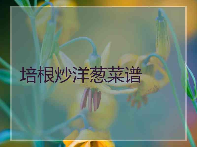 培根炒洋葱菜谱