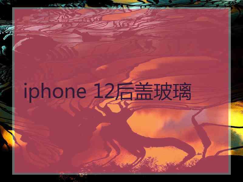 iphone 12后盖玻璃