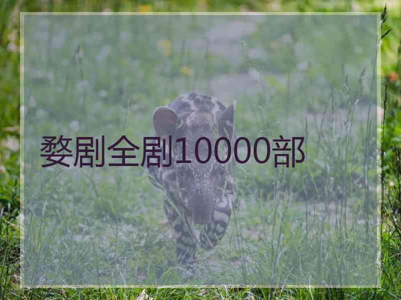 婺剧全剧10000部