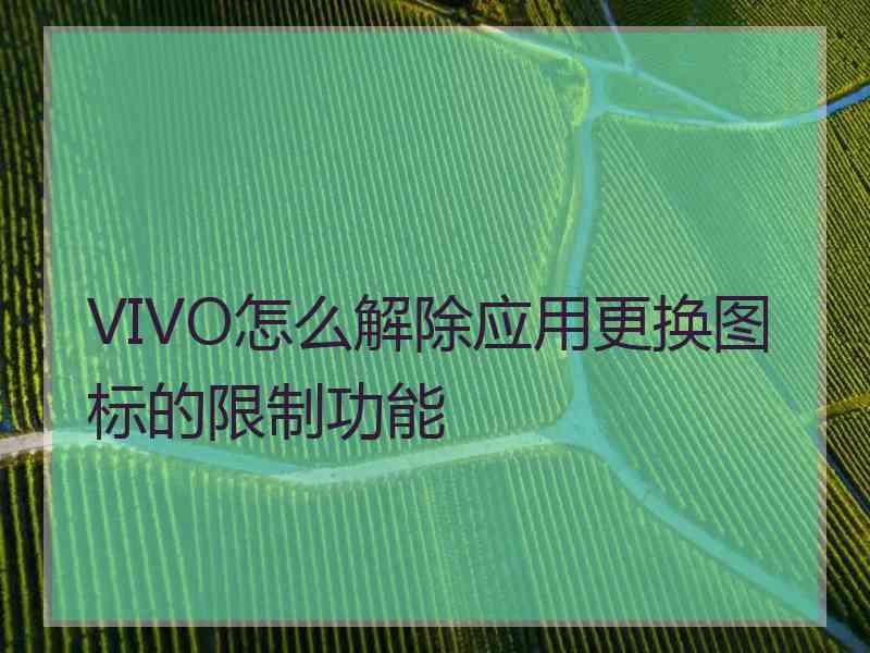 VIVO怎么解除应用更换图标的限制功能