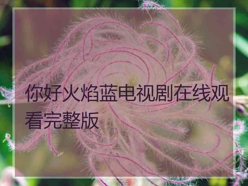 你好火焰蓝电视剧在线观看完整版