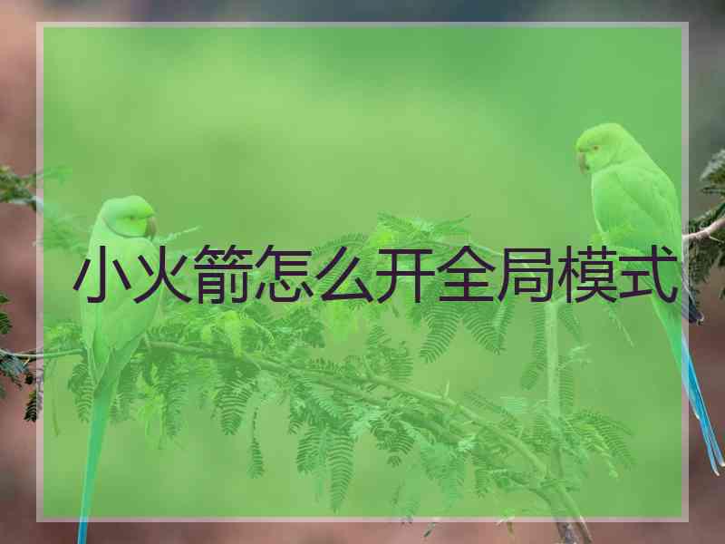 小火箭怎么开全局模式