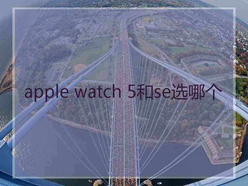 apple watch 5和se选哪个