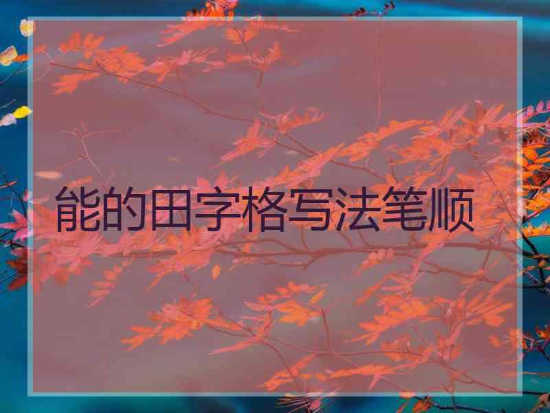 能的田字格写法笔顺