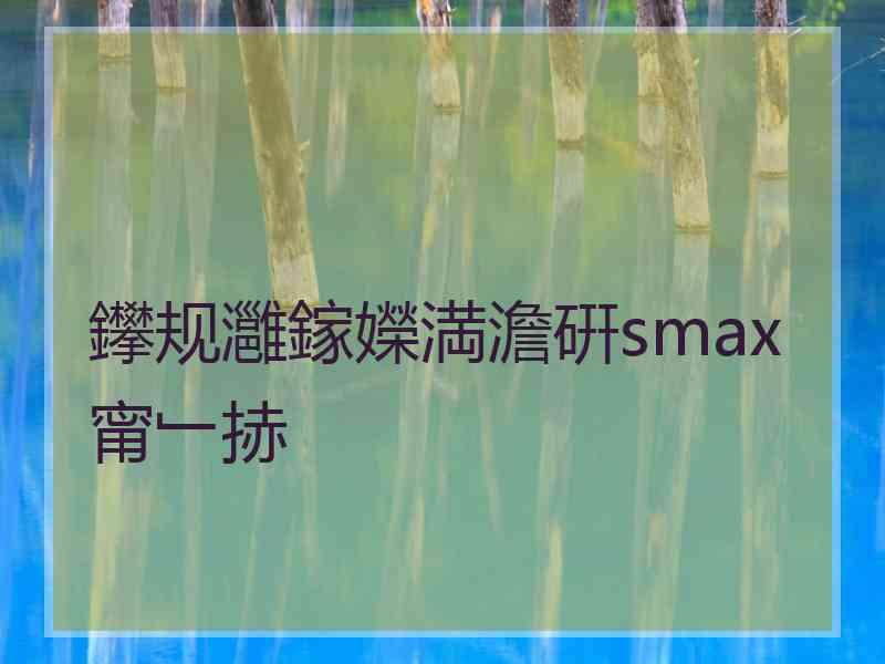 鑻规灉鎵嬫満澹硏smax甯﹂捇