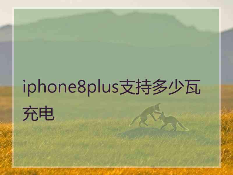 iphone8plus支持多少瓦充电