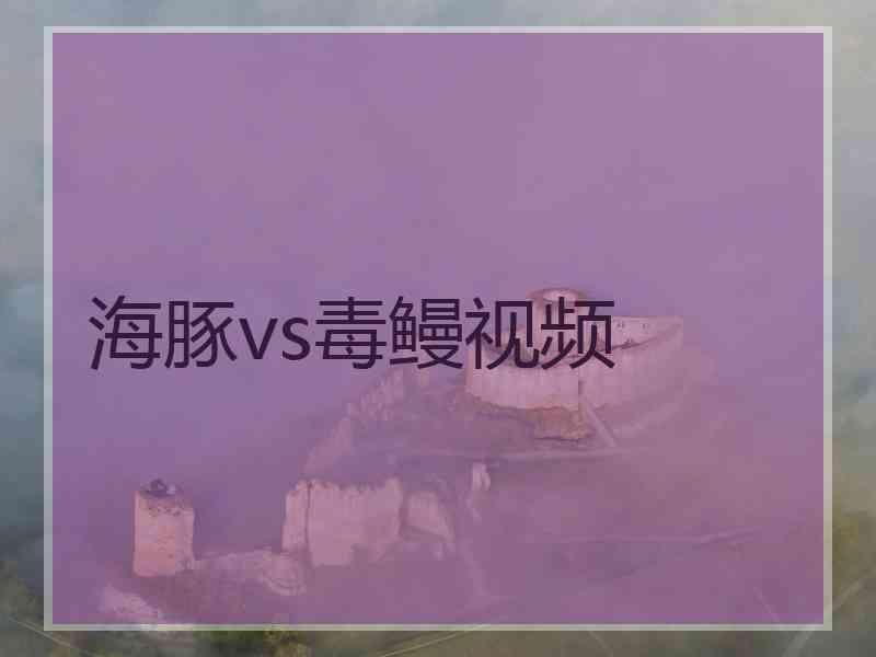 海豚vs毒鳗视频