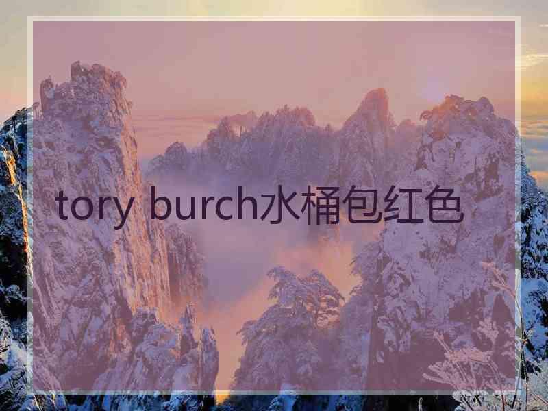 tory burch水桶包红色