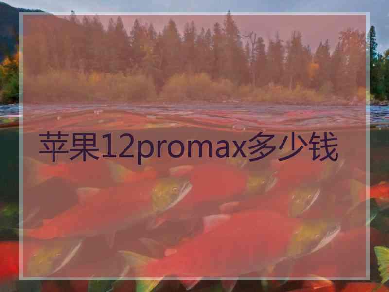 苹果12promax多少钱