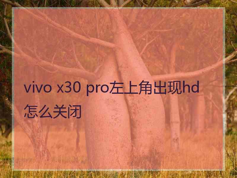 vivo x30 pro左上角出现hd怎么关闭