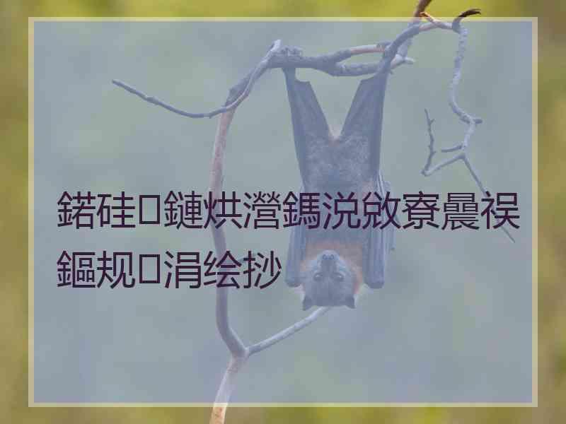 鍩硅鏈烘瀯鎷涚敓寮曟祦鏂规涓绘挱