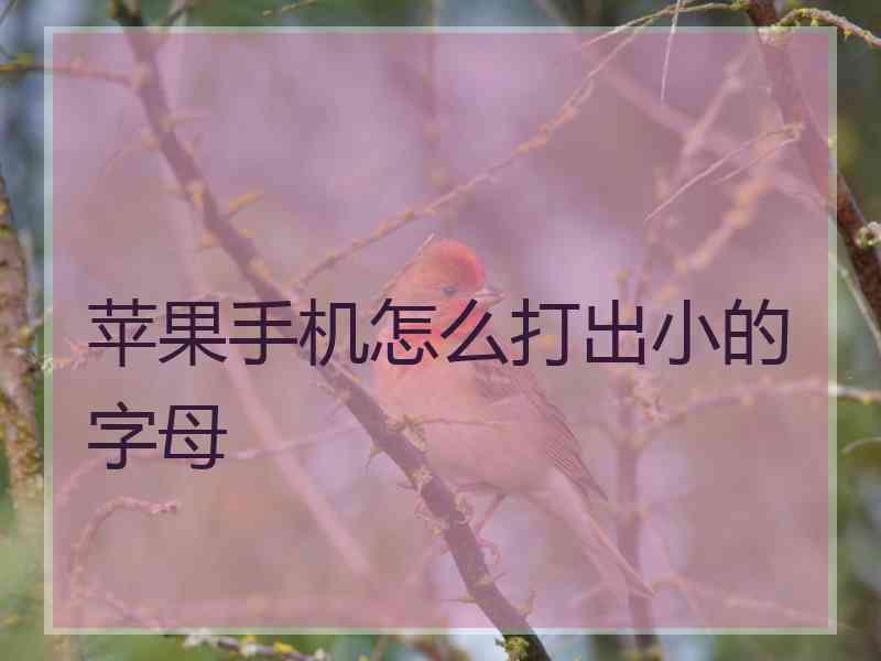 苹果手机怎么打出小的字母