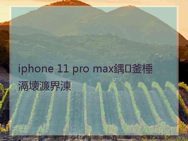 iphone 11 pro max鍝釜棰滆壊濂界湅