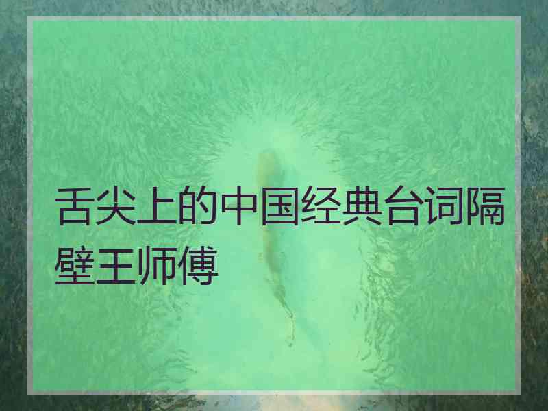 舌尖上的中国经典台词隔壁王师傅