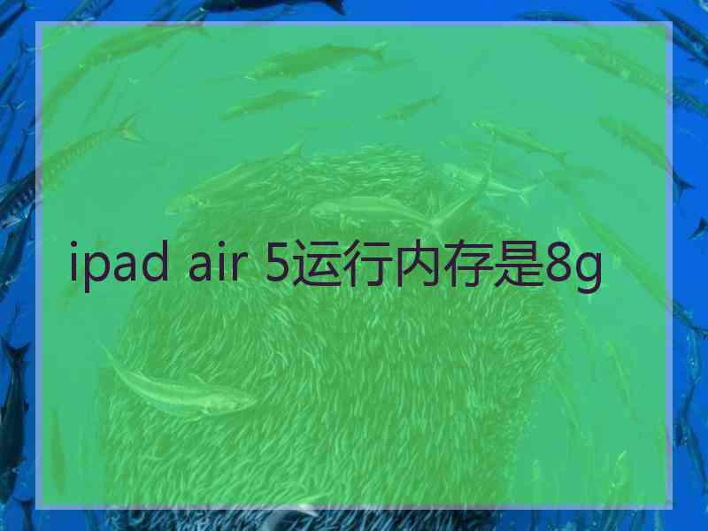 ipad air 5运行内存是8g