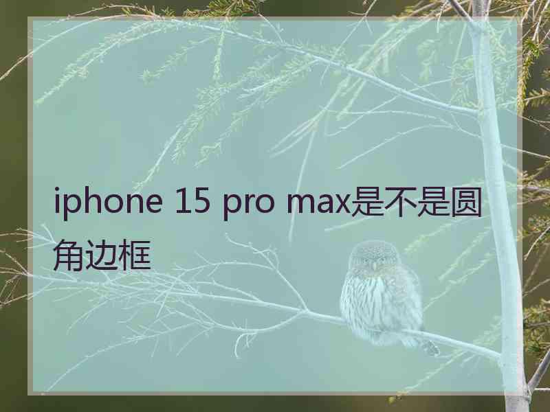 iphone 15 pro max是不是圆角边框