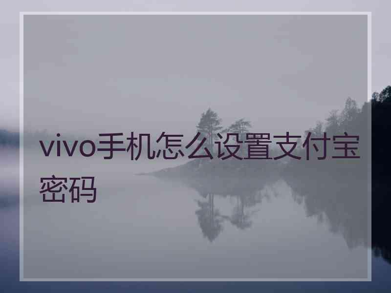 vivo手机怎么设置支付宝密码