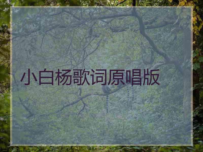 小白杨歌词原唱版