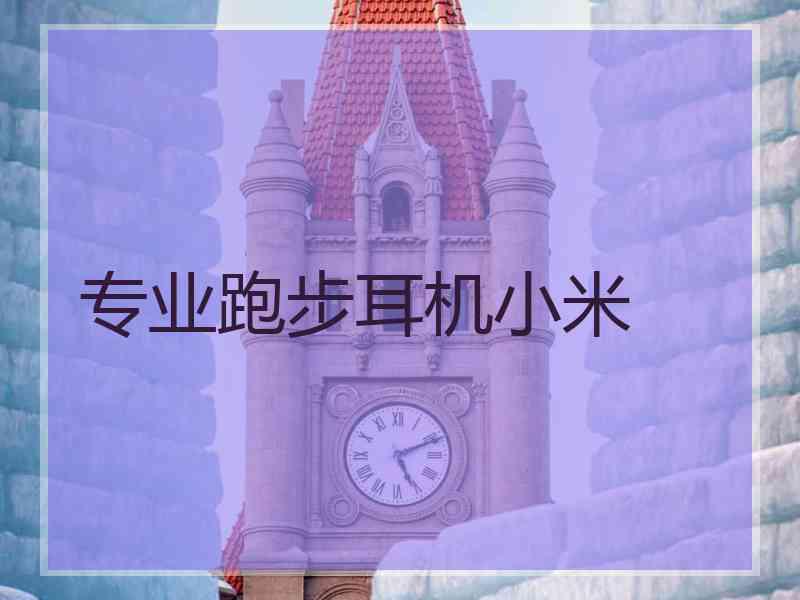 专业跑步耳机小米