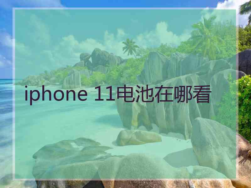 iphone 11电池在哪看