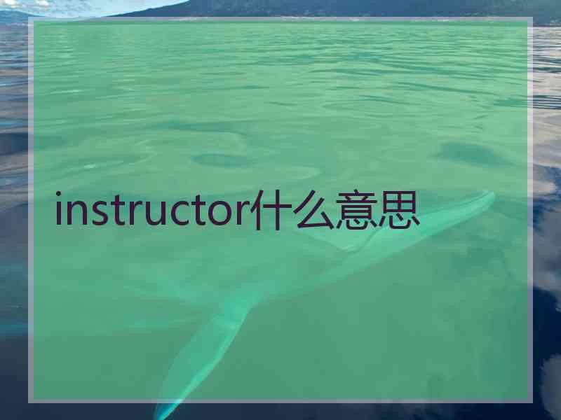 instructor什么意思