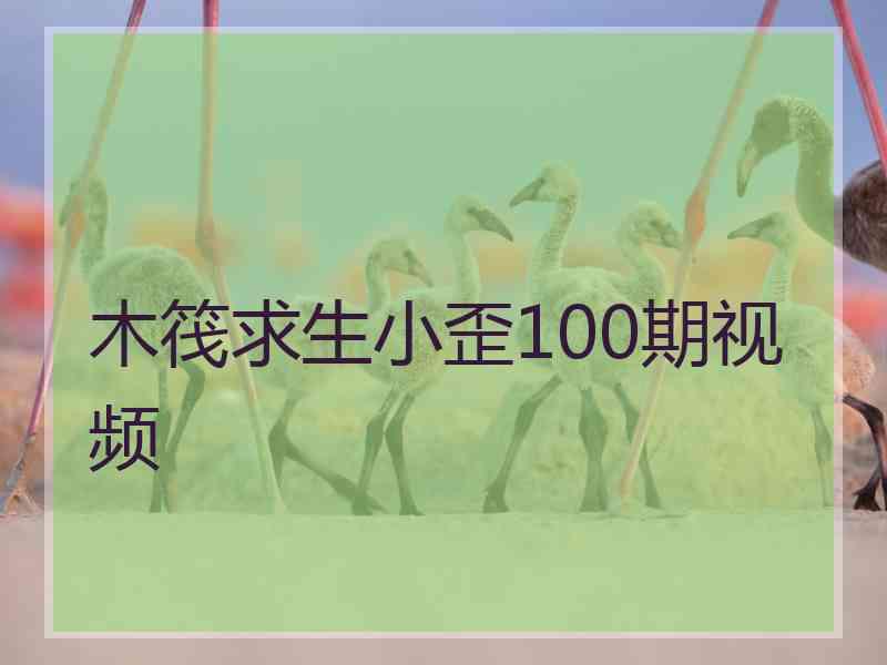 木筏求生小歪100期视频