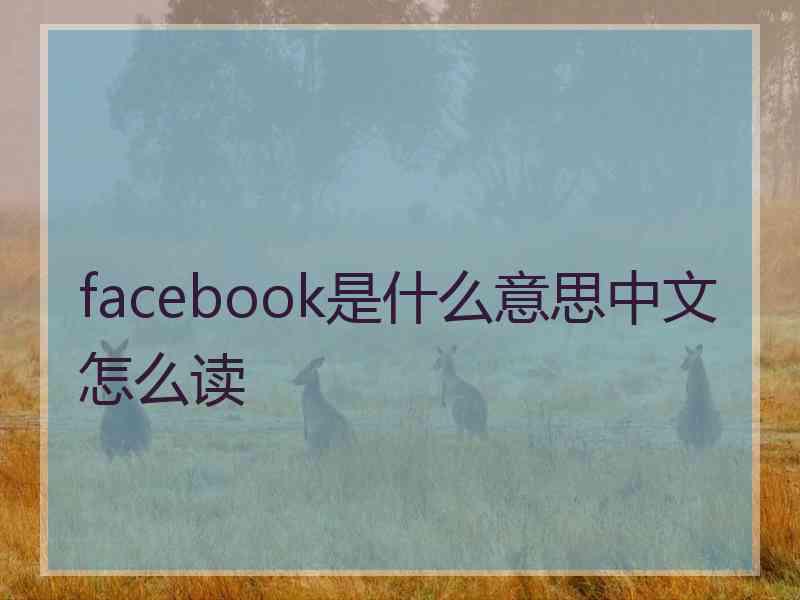 facebook是什么意思中文怎么读