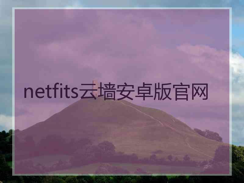 netfits云墙安卓版官网