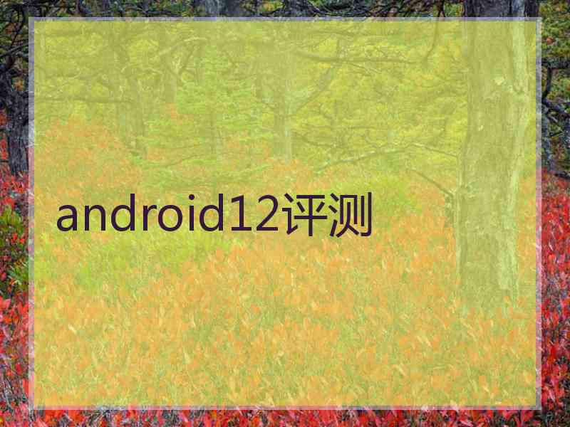 android12评测