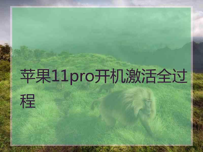 苹果11pro开机激活全过程