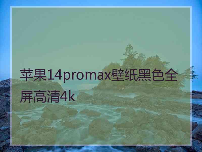 苹果14promax壁纸黑色全屏高清4k