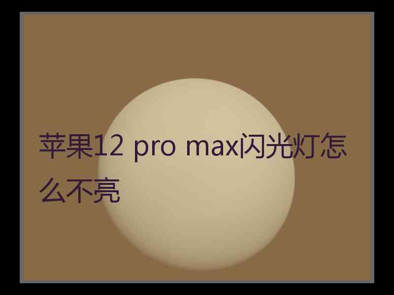 苹果12 pro max闪光灯怎么不亮