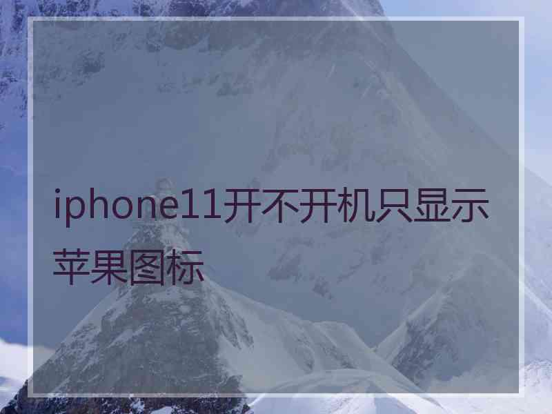 iphone11开不开机只显示苹果图标