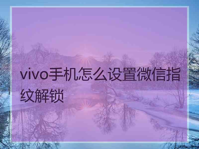 vivo手机怎么设置微信指纹解锁