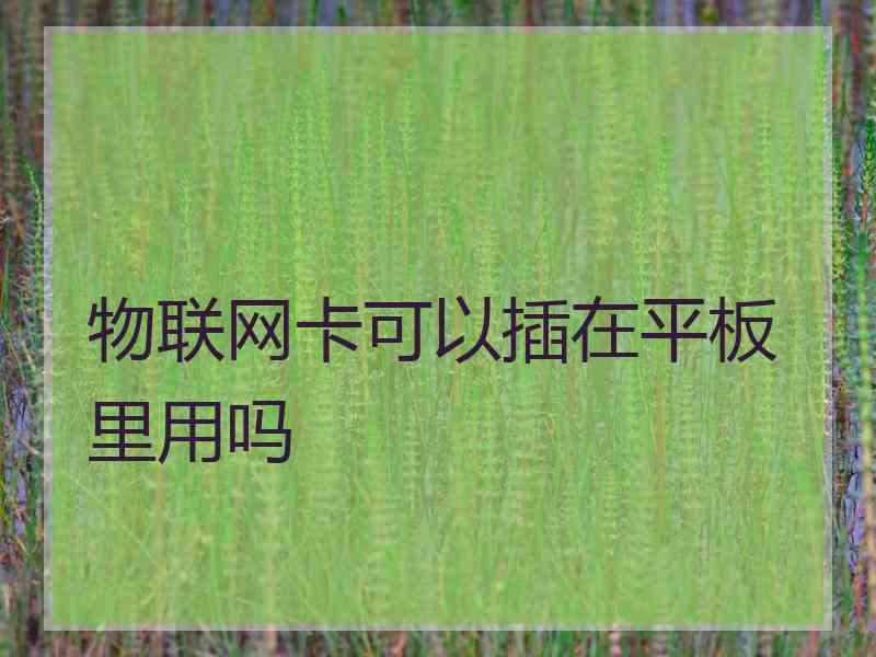 物联网卡可以插在平板里用吗