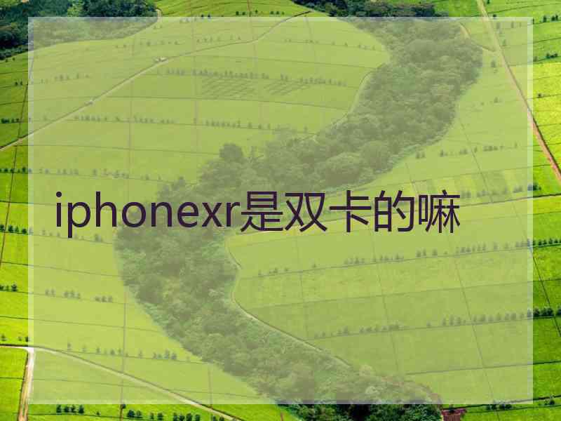 iphonexr是双卡的嘛