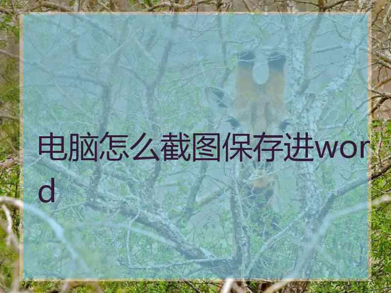 电脑怎么截图保存进word