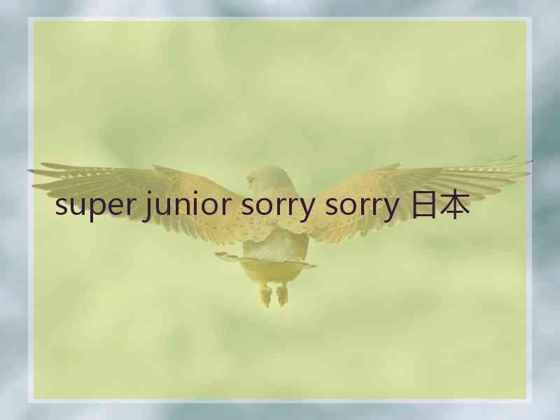 super junior sorry sorry 日本