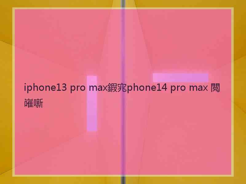 iphone13 pro max鍜宨phone14 pro max 閲嶉噺