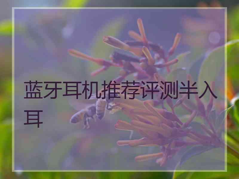 蓝牙耳机推荐评测半入耳