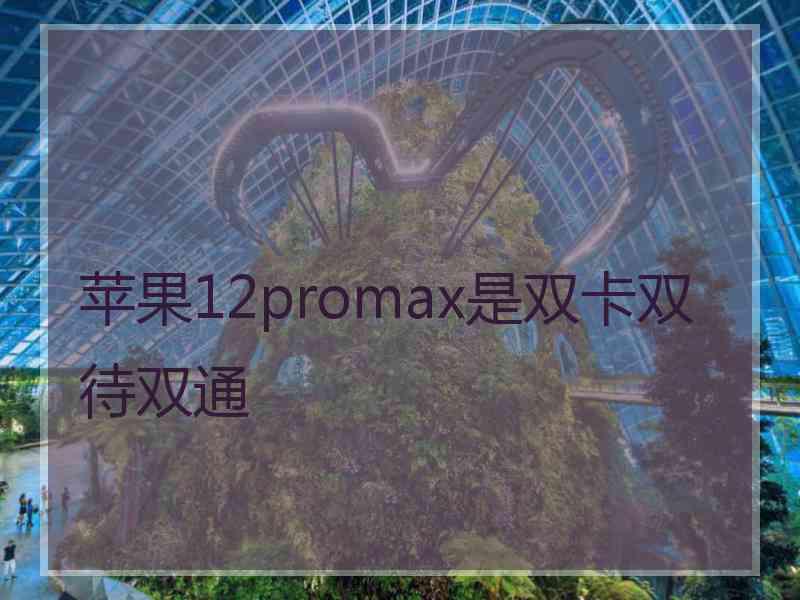 苹果12promax是双卡双待双通