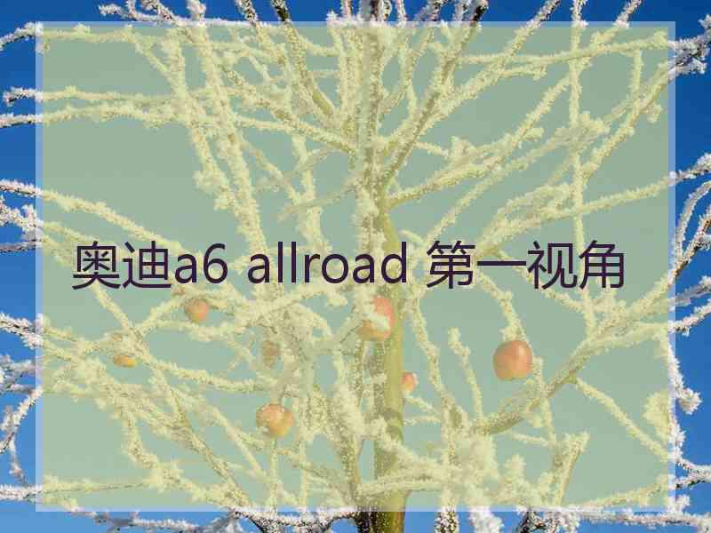 奥迪a6 allroad 第一视角