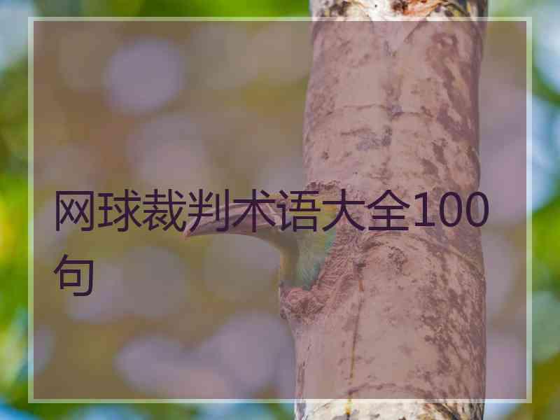 网球裁判术语大全100句