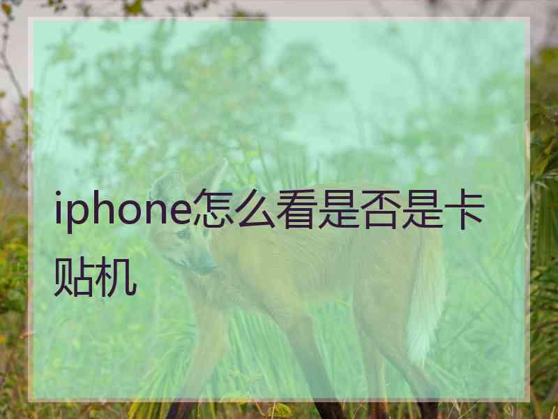 iphone怎么看是否是卡贴机