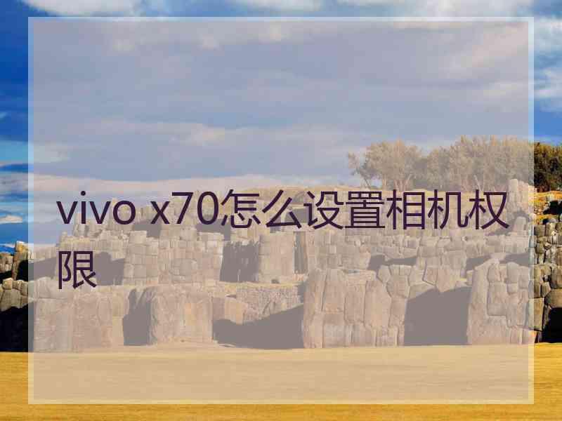 vivo x70怎么设置相机权限