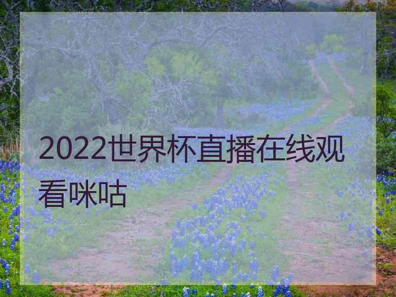 2022世界杯直播在线观看咪咕