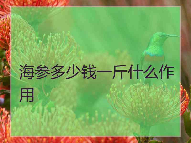 海参多少钱一斤什么作用