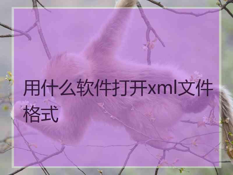 用什么软件打开xml文件格式